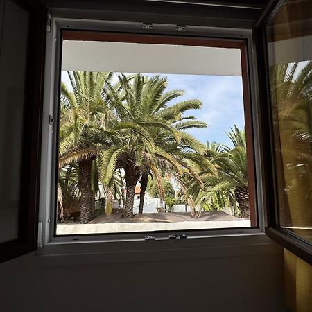 Phoenix Canariensis San Juan de la Rambla Ngoại thất bức ảnh