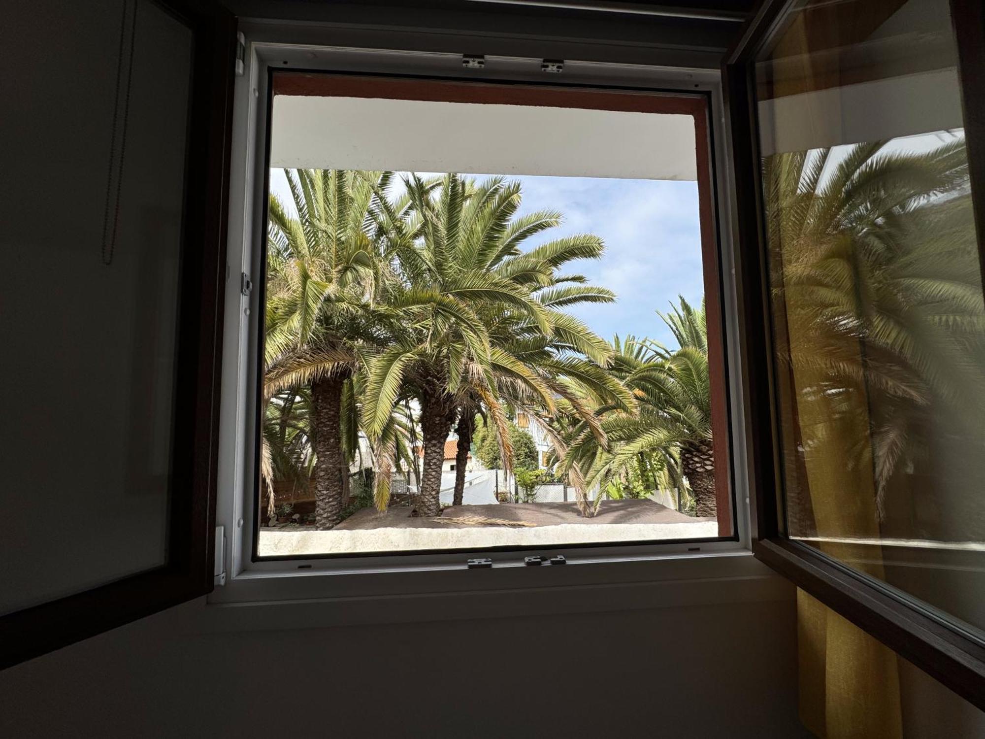 Phoenix Canariensis San Juan de la Rambla Ngoại thất bức ảnh