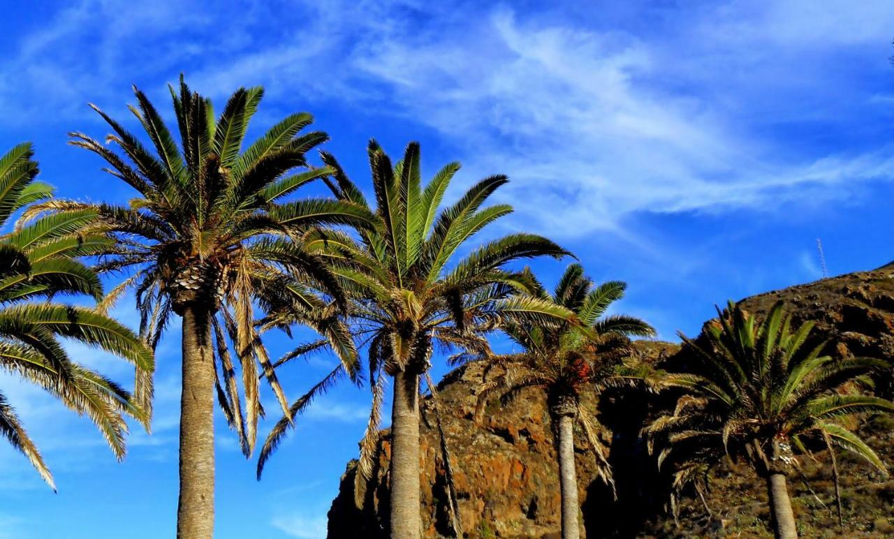Phoenix Canariensis San Juan de la Rambla Ngoại thất bức ảnh